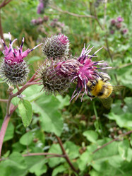 Similar image 610853