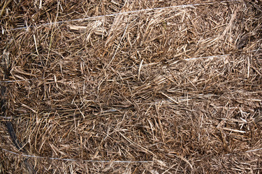 Similar image 610854