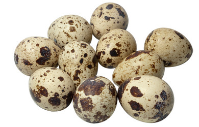 Similar image 610880