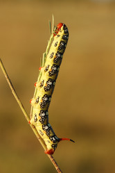 Similar image 610884