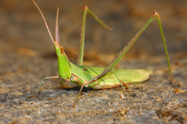 Similar image 610885