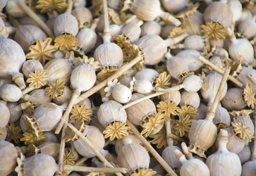 Similar image 610914