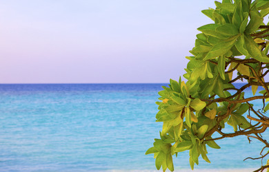 Similar image 611004