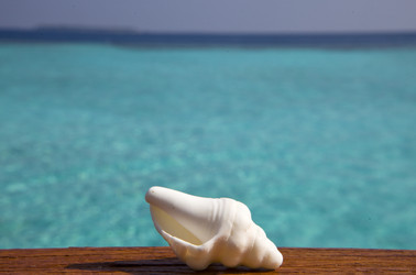 Similar image 611011