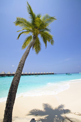 Similar image 611012