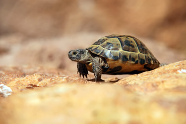 Similar image 611028