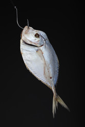 Similar image 611087