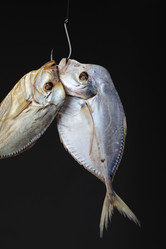 Similar image 611088