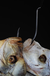 Similar image 611089