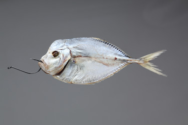 Similar image 611091