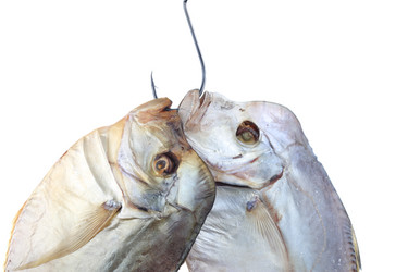 Similar image 611092