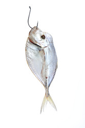 Similar image 611094