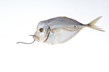 Similar image 611095