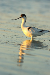 Similar image 611112