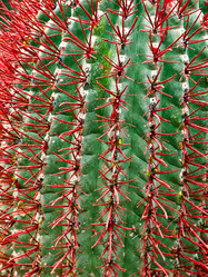 Similar image 611116