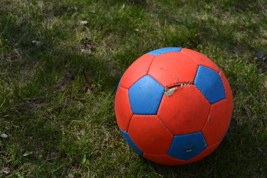 Similar image 611135