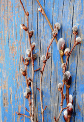 Similar image 611136