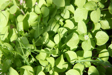 Similar image 611138