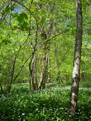 Similar image 611158