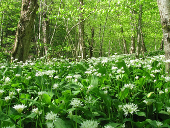 Similar image 611160