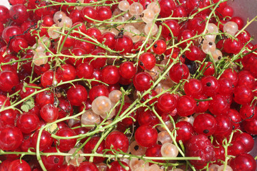 Similar image 611194