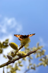 Similar image 611200