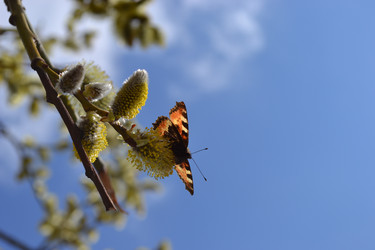 Similar image 611201