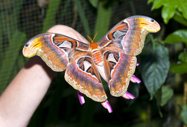 Similar image 611208