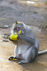 Similar image 611217