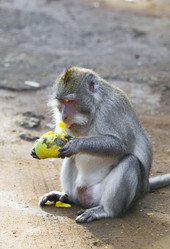 Similar image 611218