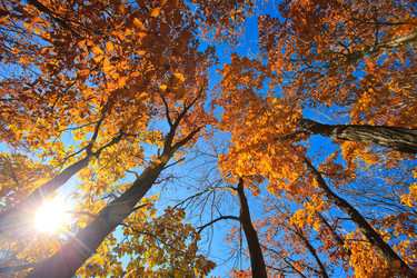 Similar image 611246