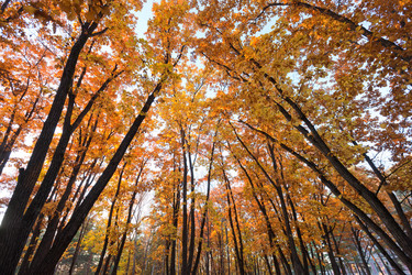 Similar image 611251