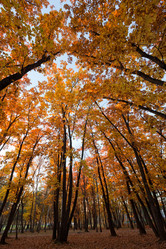 Similar image 611252