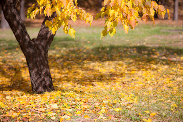 Similar image 611253