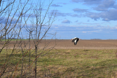 Similar image 611255