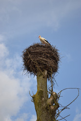 Similar image 611257