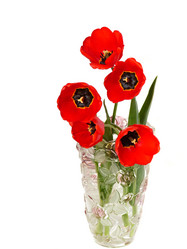 Similar image 611336