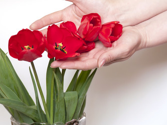 Similar image 611337