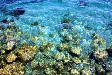 Similar image 611408