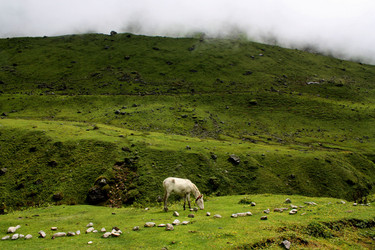 Similar image 611414