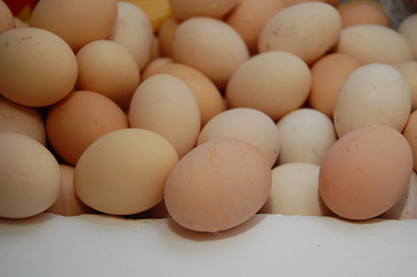 Similar image 611460