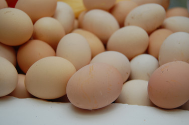 Similar image 611461