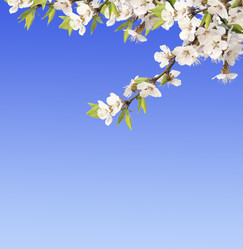 Similar image 611475