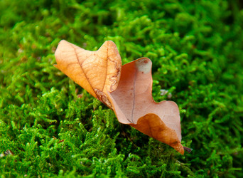 Similar image 611489