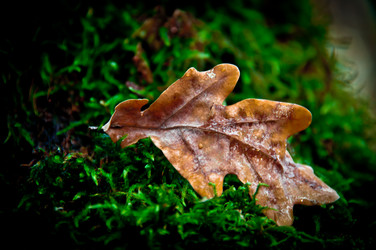 Similar image 611490