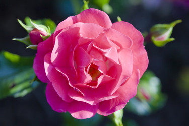 Similar image 611535