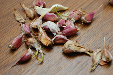 Similar image 611540