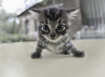 Similar image 611547