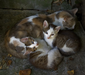 Similar image 611555