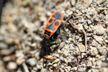 Similar image 611578